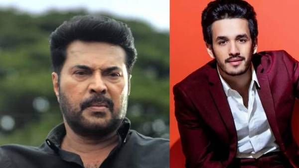 தெலுங்கில் அகிலுக்கு வில்லனாகும் மம்முட்டி... ஏஜெண்ட் படத்தின் வில்லனாகிறார்