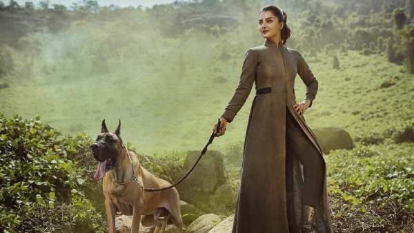 வெறிபிடித்த வேட்டை நாய் உடன் மலை உச்சியில் நின்று கெத்தாக போஸ் கொடுக்கும் அசுரன் நடிகை!