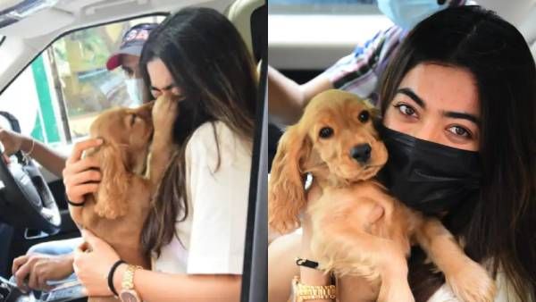 ராஷ்மிகாவுக்கு காரில் நச்சுனு முத்தம் கொடுத்த ஆரா… ஷாக்கான ரசிகர்கள் !