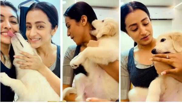 என் மனதை கவர்ந்த பையன்... ஆனா ஒரு கண்டிஷன்... த்ரிஷா வெளியிட்ட சீக்ரெட்