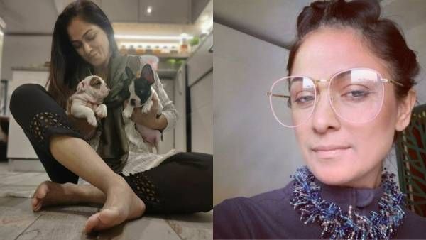 கண்ணுங்களா என் செல்லங்களா... பப்பிகளுடன் கொஞ்சி விளையாடும் சிம்ரன்!