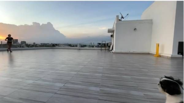 க்ளீன் போல்ட்... வேற ரேஞ்சில் வைரலாகும் கீர்த்தி சுரேஷ் வீடியோ