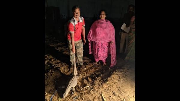 தோட்டத்தில் சிக்கிய கர்ப்பிணி உடும்பு.. சிம்புவின் அம்மா செய்த காரியம்.. குவியும் பாராட்டு!