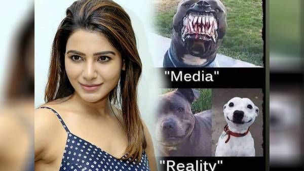 வைரலாகும் விவாகரத்து வதந்திகள்.. மீடியாவை கோரமான நாயாக சமந்தா சித்தரிக்க அதுதான் காரணமா?