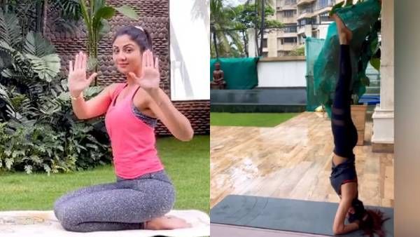 இவ்வளவு ஈசியா சிரசாசனத்தை செய்ய முடியுமா? நிரூபித்து காட்டிய பாலிவுட் நடிகை