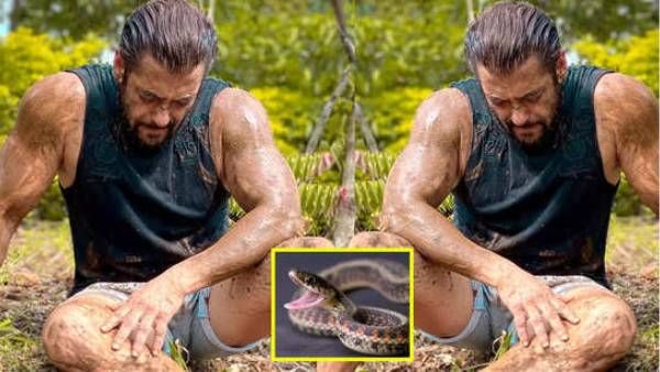 பண்ணை வீட்டுக்குள் நுழைந்த பாம்பு.. 3 முறை என்னை கடித்தது.. மனம் திறந்த சல்மான் கான்!