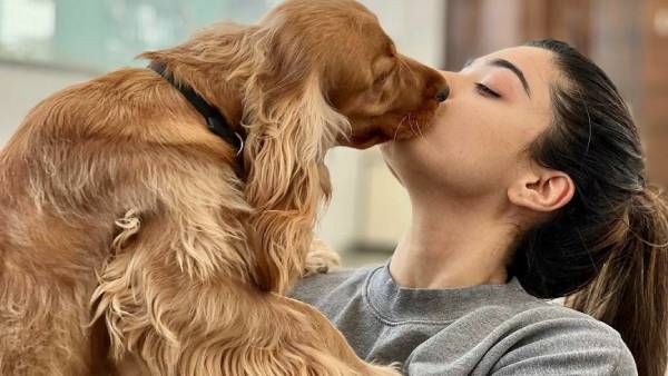 செல்லத்துக்கு லிப் லாக் முத்தம் கொடுத்த ராஷ்மிகா மந்தனா... பாவம் ரசிகர்கள்!