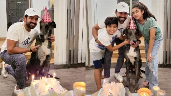 கேக் வெட்டி கொண்டாட்டம்... அருண் விஜய் பேமிலி கொண்டாடிய நாய் பிறந்தநாள்