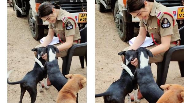 ஹைதராபாத் போலீஸ் அதிகாரியாக த்ரிஷா.. வேற லெவல் ஒடிடி என்ட்ரி.. டிரெண்டாகும் புகைப்படம்!