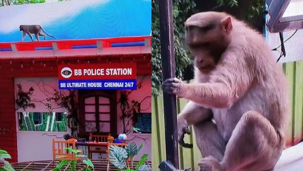 பிக் பாஸ் வீட்டுக்குள் இப்படியொரு வைல்டு கார்டா? அவரோட என்ட்ரியை பார்த்து ஆடிப்போன ஹவுஸ்மேட்ஸ்!