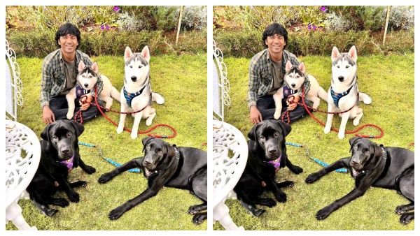 தனுஷோட சமீபத்திய புகைப்படம்... தனிமையை கடக்க என்ன செய்றாரு பாருங்க!