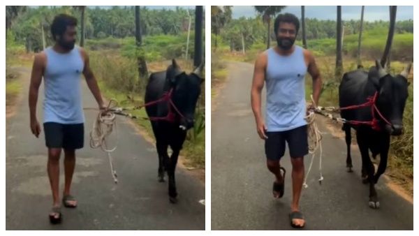 வாடிவாசல் மோடுக்கு மாறிய சூர்யா.. கையில் மாடுடன் என்னம்மா நடந்து வறாரு பாருங்க.. செம வீடியோ!