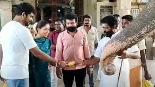 யானையை பார்த்து பயந்த நயன்தாரா.. தயங்கிய விக்னேஷ் சிவன்.. கடைசியில் செம காமெடி!