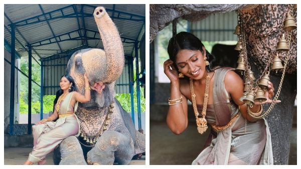 யானையுடன் போட்டோஷுட்...சோஷியல் மீடியாவை தெறிக்க விட்ட பிக்பாஸ் சுருதி