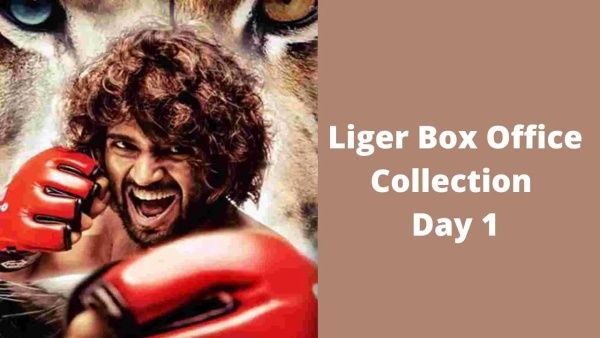Liger Box Office: பாலிவுட் படங்களை பாக்ஸிங் பண்ணிய லைகர்.. முதல் நாள் வசூல் எவ்வளவு தெரியுமா?
