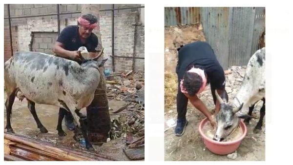 மாட்டுக்கார வேலனாக மாறிய மன்சூர் அலிகான்.. என்னல்லாம் பண்றாரு பாருங்க!