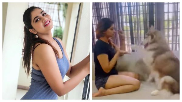 மேகம் கருக்காதா பாட்டுக்கு ஷிவானி யார் கூட டான்ஸ் ஆடியிருக்காங்க பாருங்க.. டிரெண்டாகும் வீடியோ!