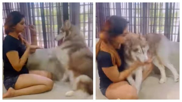 செல்ல பிராணியை கட்டி பிடித்து உருளும் ஷிவானி நாராயணன்..இதெல்லாம் ரொம்ப ஓவர்..கடுப்பான பேன்ஸ்!