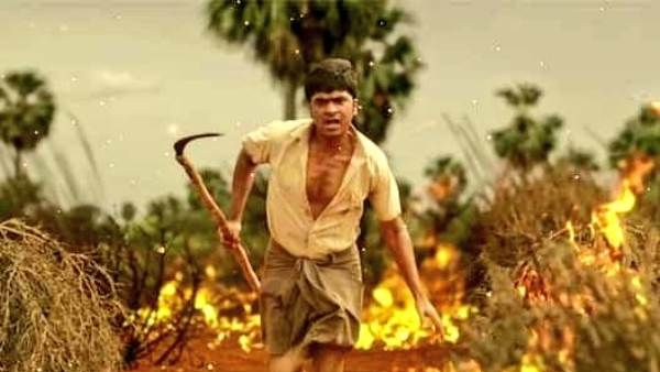 Vendhu Thanindhathu Kaadu Box Office: வெந்து தணிந்தது காடு முதல் நாள் வசூல் எவ்வளவு தெரியுமா?