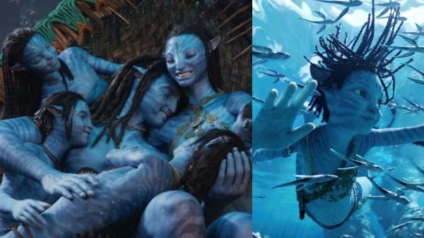 Avatar 2 Box Office Prediction: முதல் நாளிலேயே இந்தியாவில் 50 கோடி.. உலகளவில் இத்தனை ஆயிரம் கோடியா?