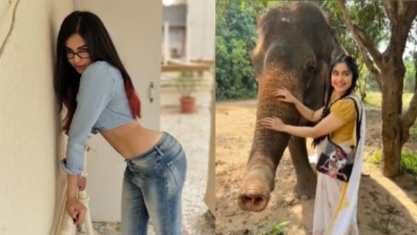 ப்பா.. யானையையே குளிப்பாட்டுறாரே.. என்னவொரு தில்.. டிரெண்டாகும் பிரபுதேவா பட ஹீரோயின் வீடியோ!