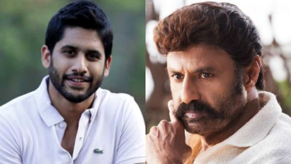 அக்கினேனி எனக்கு சித்தப்பா மாதிரி... நாக சைதன்யாவின் கண்டனத்தால் யூடர்ன் அடித்த பாலய்யா