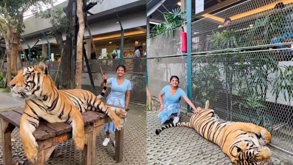 பாக்க..பாக்க..பல்ஸ் எகிறுதே..புலியின் வாலை பிடித்த கேப்ரில்லா..இதுல சொல்லுங்க மாமா குட்டி பாட்டுவேற!