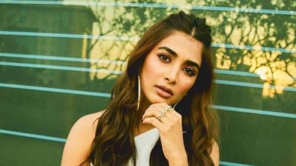 தமிழில் மீண்டும் களமிறங்கும் பீஸ்ட் நாயகி.. இந்த முறை யார்கூட தெரியுமா?