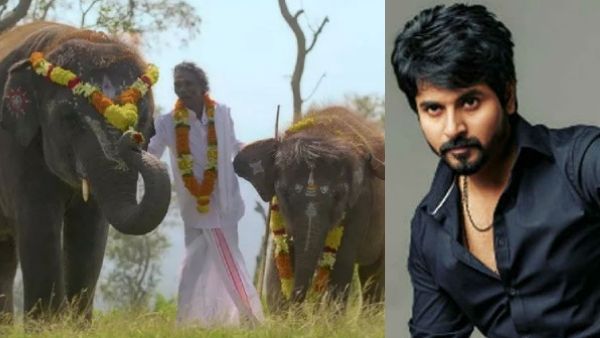 ஆஸ்கர் வென்ற ஆவணப்படத்தில் இடம்பெற்ற யானைக்கு உதவிய சிவகார்த்திகேயன்.. இந்த விஷயம் தெரியுமா?