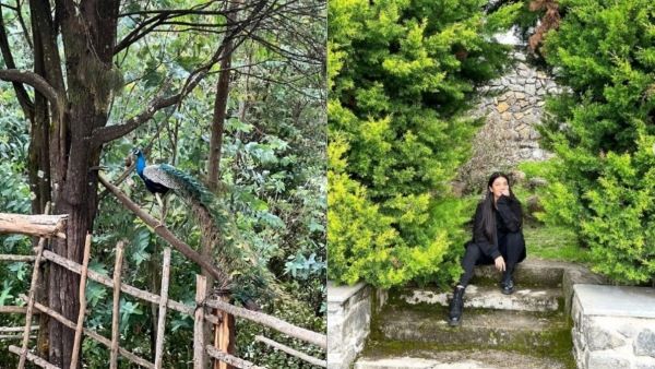 மயில் கூட்டத்திற்கு நடுவில் குயிலாய் ஸ்ருதிஹாசன்.. சோலோ சுற்றுலா.. சூப்பர்ல!