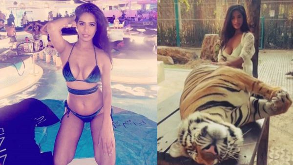 Poonam Pandey: அந்த புலியையாவது சும்மா விடும்மா.. தடவி விளையாடிய பூனம் பாண்டே.. திட்டும் ஃபேன்ஸ்!