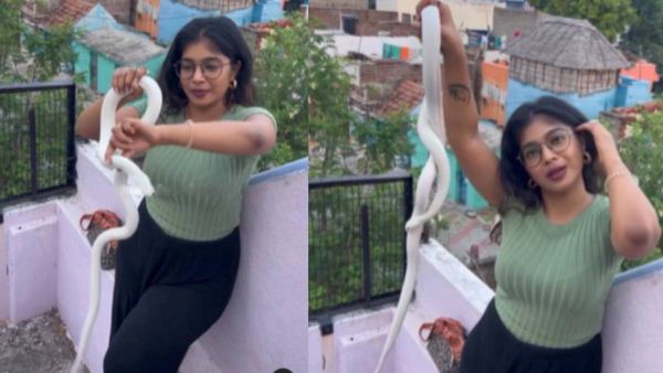 VJ Parvathy : என்னப்பா நடக்குது இங்கே... பாம்புடன் அசால்ட்டாக விளையாடும் நடிகை..பகீர் வீடியோ!