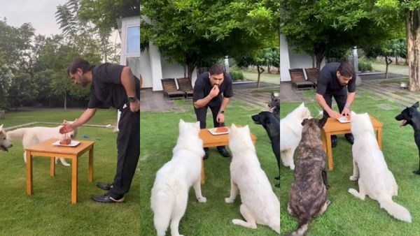 Dhoni: நாய்களுடன் பிறந்தநாள் கொண்டாடிய கிரிக்கெட் வீரர் தோனி.. கேக் கட்டிங் வேறயா!