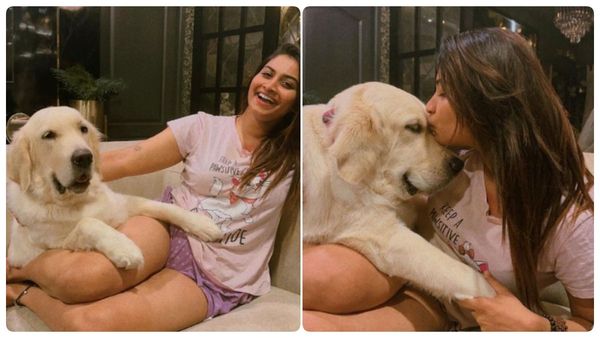 Shivani Narayanan: இப்படி நச்சு நச்சுன்னு கொடுத்தா இதயம் தாங்காது ஷிவானி.. ஃபீல் பண்ணும் ஃபேன்ஸ்!