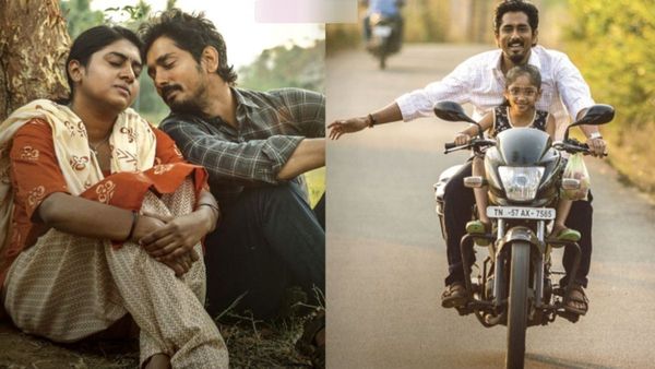 Chithha Box Office: பாக்ஸ் ஆபிஸில் மாஸ் காட்டிய சித்தா... கம்பேக் கொடுத்த சித்தார்த்!!