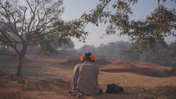 Oscars 2024: இந்தியர்களின் வரவேற்பை பெற்ற To Kill a Tiger ஆவணப்படம் ஆஸ்கர் விருதை இழந்தது!