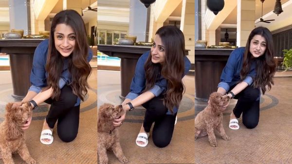 Actress Trisha: ராம்சரண் வீட்டு நாய்க்குட்டியுடன் கொஞ்சல்ஸ்.. ட்ரெண்டாகும் திரிஷா வீடியோ!
