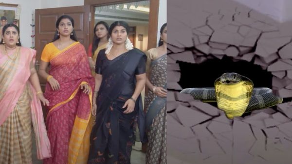 கார்த்திக் கொடுத்த கிப்ட்.. மிஷினில் மாட்டிய புடவை.. கார்த்திகை தீபம் இன்றைய எபிசோட்!