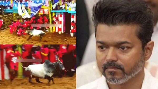 அலறவிட்ட தளபதி விஜய் காளை.. அதிர்ந்த வாடிவாசல்.. நின்று விளையாடி மிரட்டல்.. தொட அஞ்சிய வீரர்கள்..!