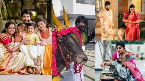 குடும்பத்துடன் பொங்கல் கொண்டாடிய சிவகார்த்திகேயன்..தை திருநாள் வாழ்த்து கூறிய திரைப்பிரபலங்கள்!