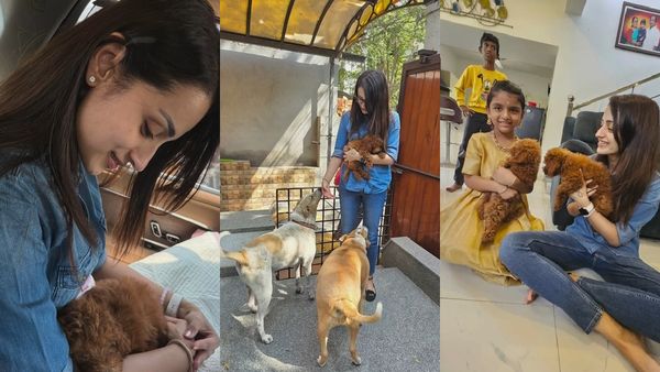 Valentine day: திரிஷாவின் புதிய வாலன்டைன்.. என்ன அணைப்பு.. பேரு சும்மா அசத்துதே!