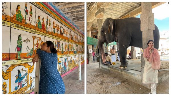 கல்யாணமாகி 3 மாசம்தானே ஆச்சு.. நாக சைத்தன்யா எங்கே.. தனியாக கும்பகோணத்தில் சோபிதா என்ன செய்கிறார்!