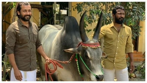 Vaadivaasal: வெற்றிமாறனிடம் மல்லுக்கட்டும் சூர்யா.. வாடிவாசல் படம் தாமதத்திற்கு காரணம் இதுதானா?