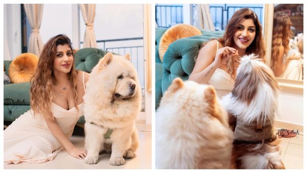 நாய் குட்டியுடன் நச்சுன்னு இருக்கும் யாஷிகா ஆனந்த்.. எனக்கு கொடுத்து வைக்கலயே.. புலம்பும் ஃபேன்ஸ்!