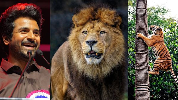 சிங்கம், புலியை வளர்க்கும் சிவகார்த்திகேயன்.. பாராட்டிய தமிழ்நாடு அரசு.. SK வேற லெவல்தான் போங்க!
