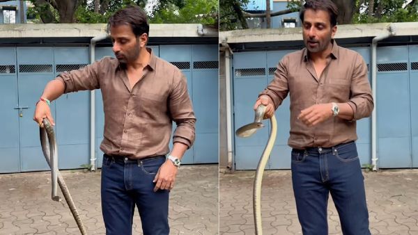 படையப்பா ரஜினி எல்லாம் ஓரம் போங்க.. பாம்பை அசால்ட்டாக கையில் பிடித்து கிளாஸ் எடுக்கும் சோனு சூட்!