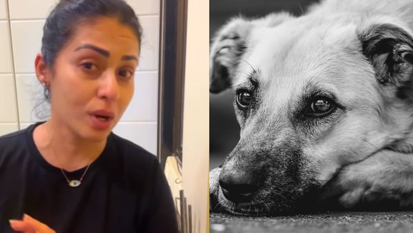 8 மாசத்துல கொல்லப்போறாங்க.. இந்த தீர்ப்பு கொடுத்ததுக்கு வெட்கப்படுங்க.. சதா கண்ணீர் வீடியோ!