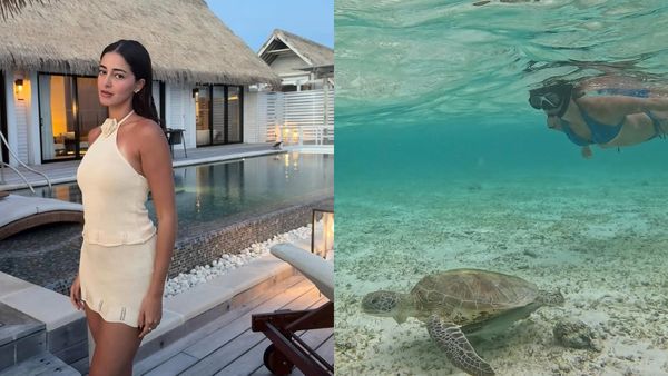 Ananya Panday: ஆத்தி.. ஆமையுடன் கடலில் நீச்சல் அடிக்கும் அனன்யா பாண்டே.. வெள்ளை பிகினியில் வேறலெவல்!