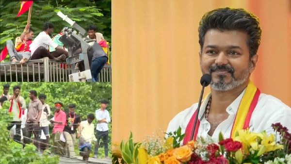 மரங்கள், கூண்டுகள் மீது ஏறி அலப்பறை செய்யும் விஜய் ரசிகர்கள்.. கிரீஸ் டப்பாவுக்கு மறுபடியும் வேலையா?