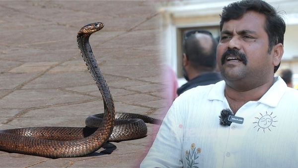 டாய்லெட்டில் பாம்பு.. அச்சச்சோ.. உள்ளே மாட்டிக் கொண்ட காளி வெங்கட்.. அப்புறம் என்னாச்சு தெரியுமா?